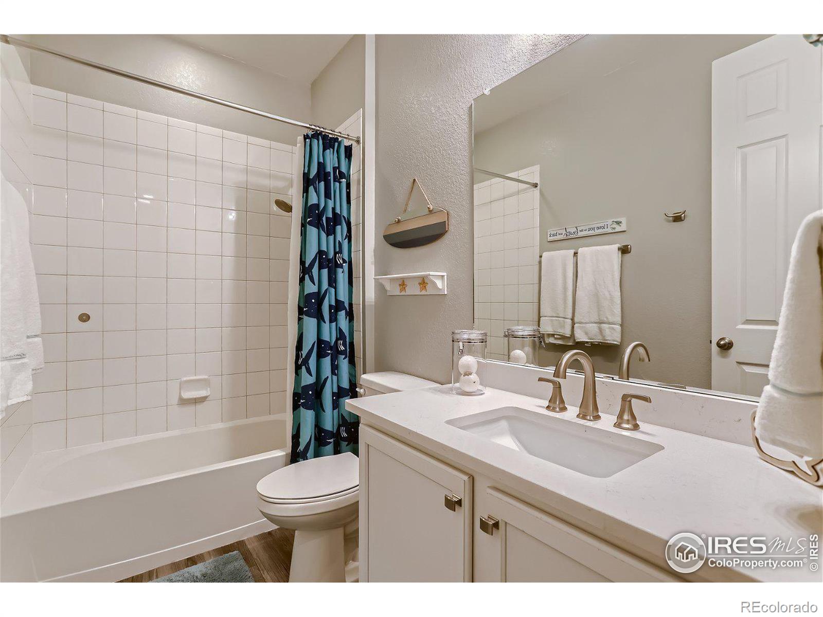 MLS Image #21 for 9903  truckee street,commerce city, Colorado