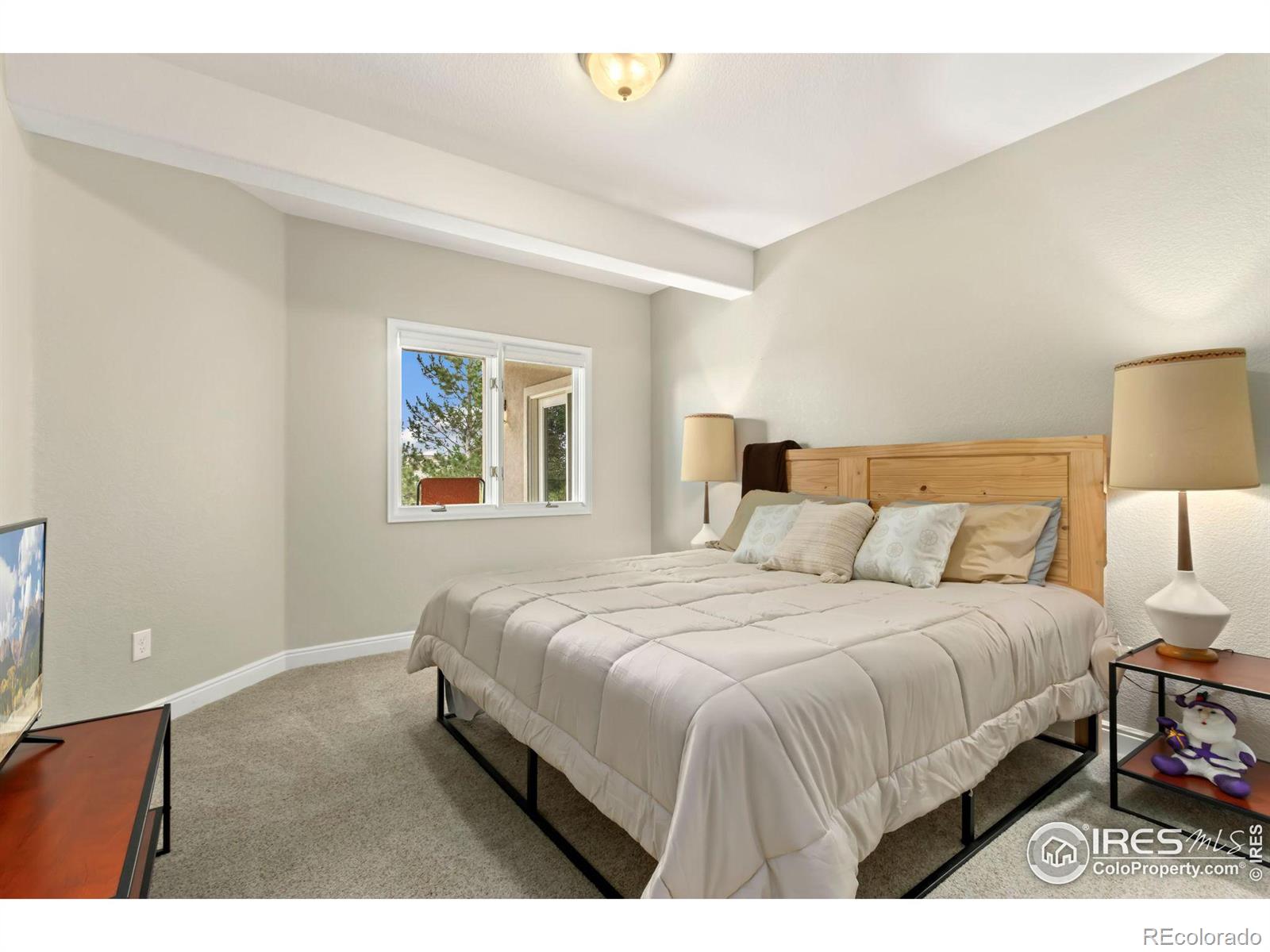 MLS Image #21 for 3140  kyle circle,loveland, Colorado