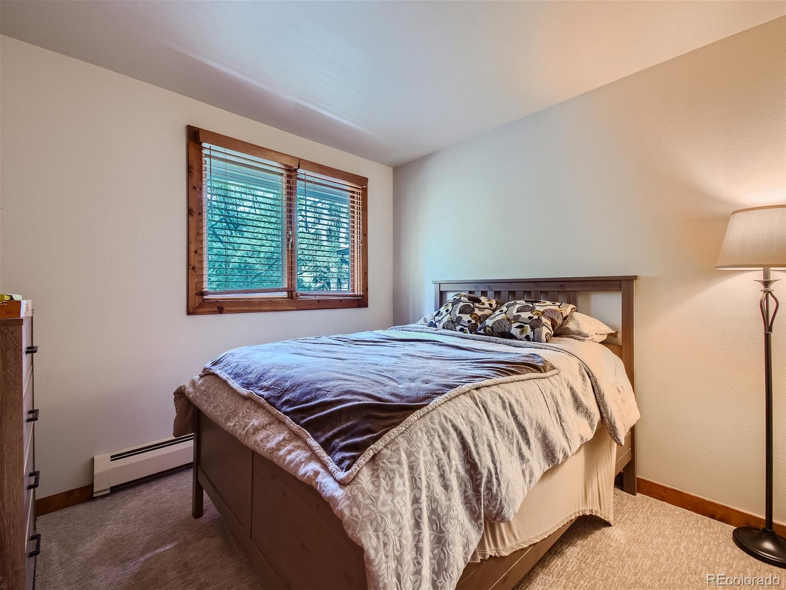 MLS Image #30 for 4865  silver spruce lane,evergreen, Colorado