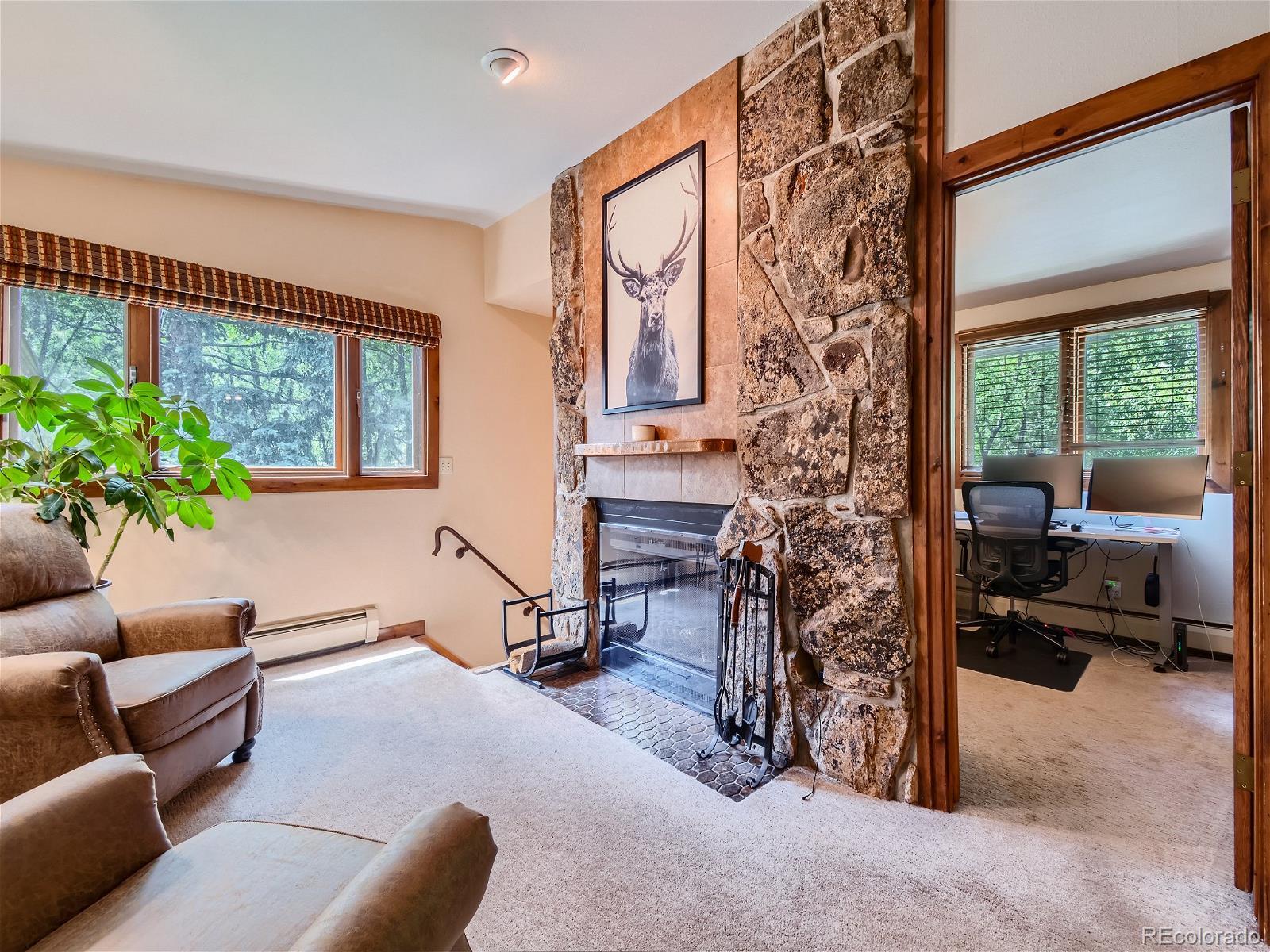 MLS Image #37 for 4865  silver spruce lane,evergreen, Colorado