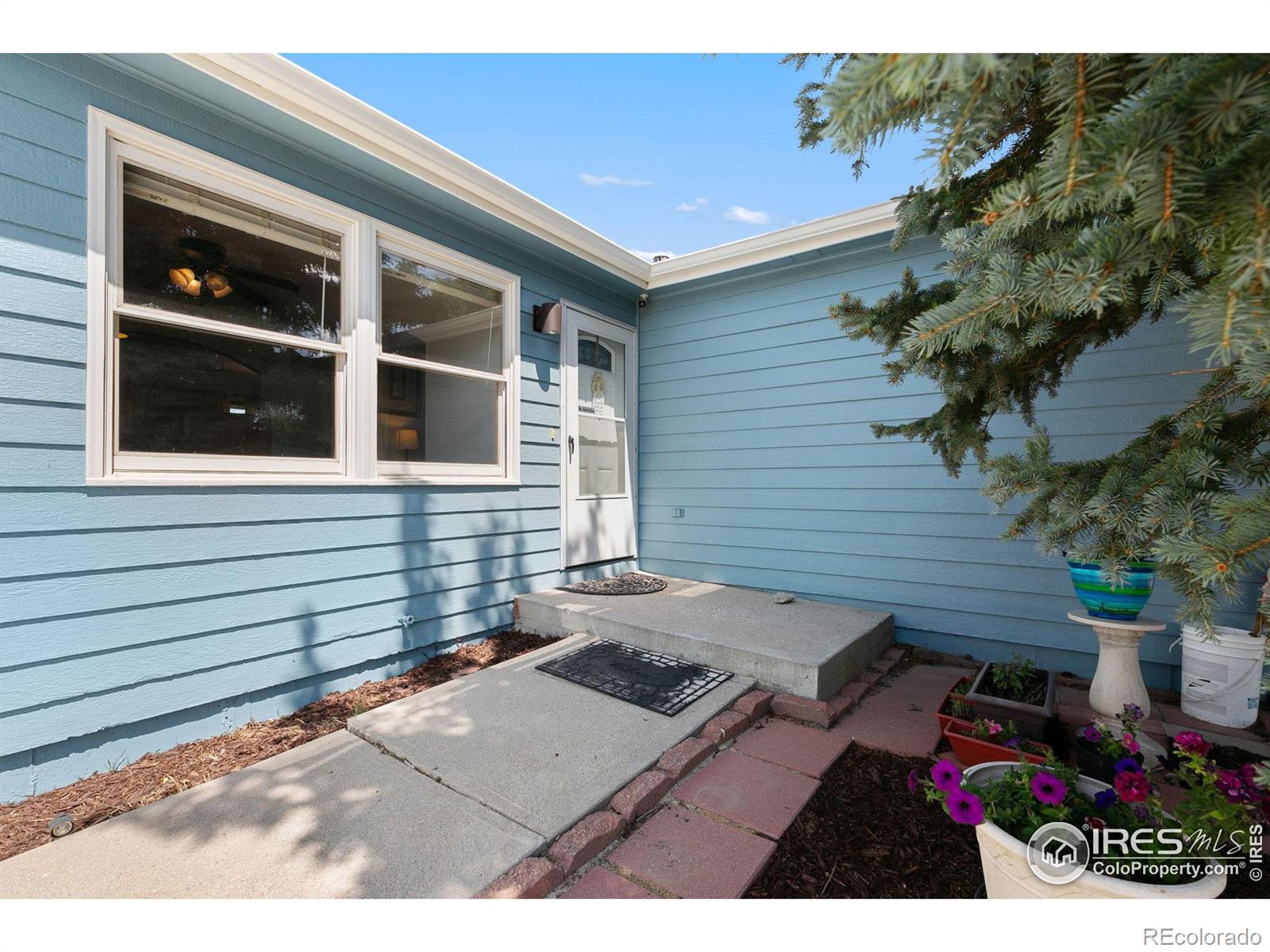 MLS Image #3 for 4128  hayes circle,wellington, Colorado