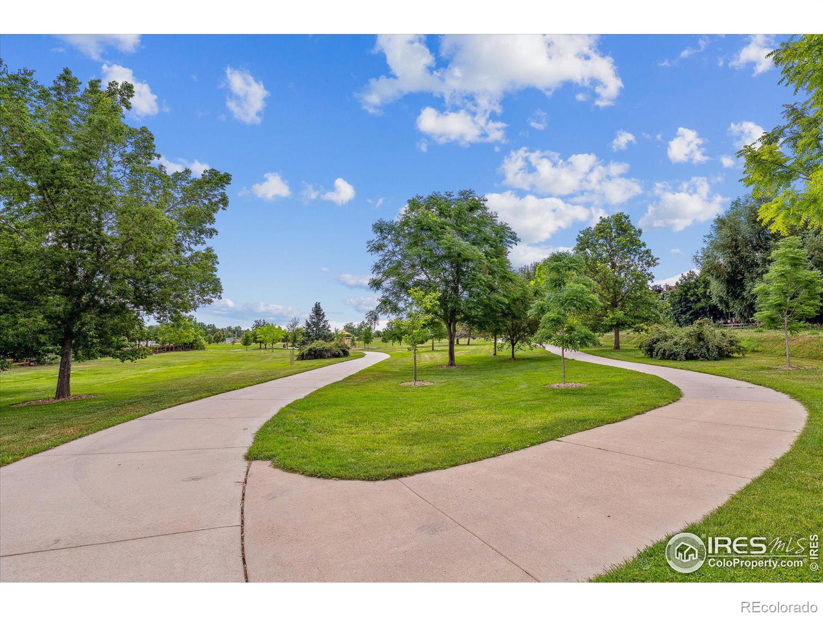 MLS Image #28 for 353  columbine avenue,broomfield, Colorado