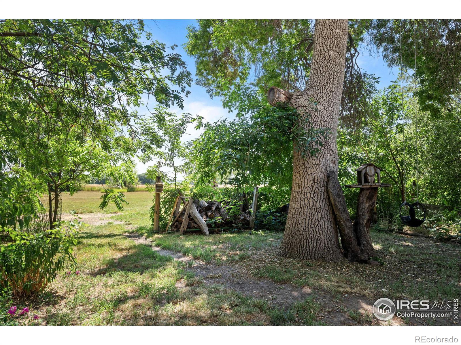 MLS Image #16 for 12252 n 75th street,longmont, Colorado