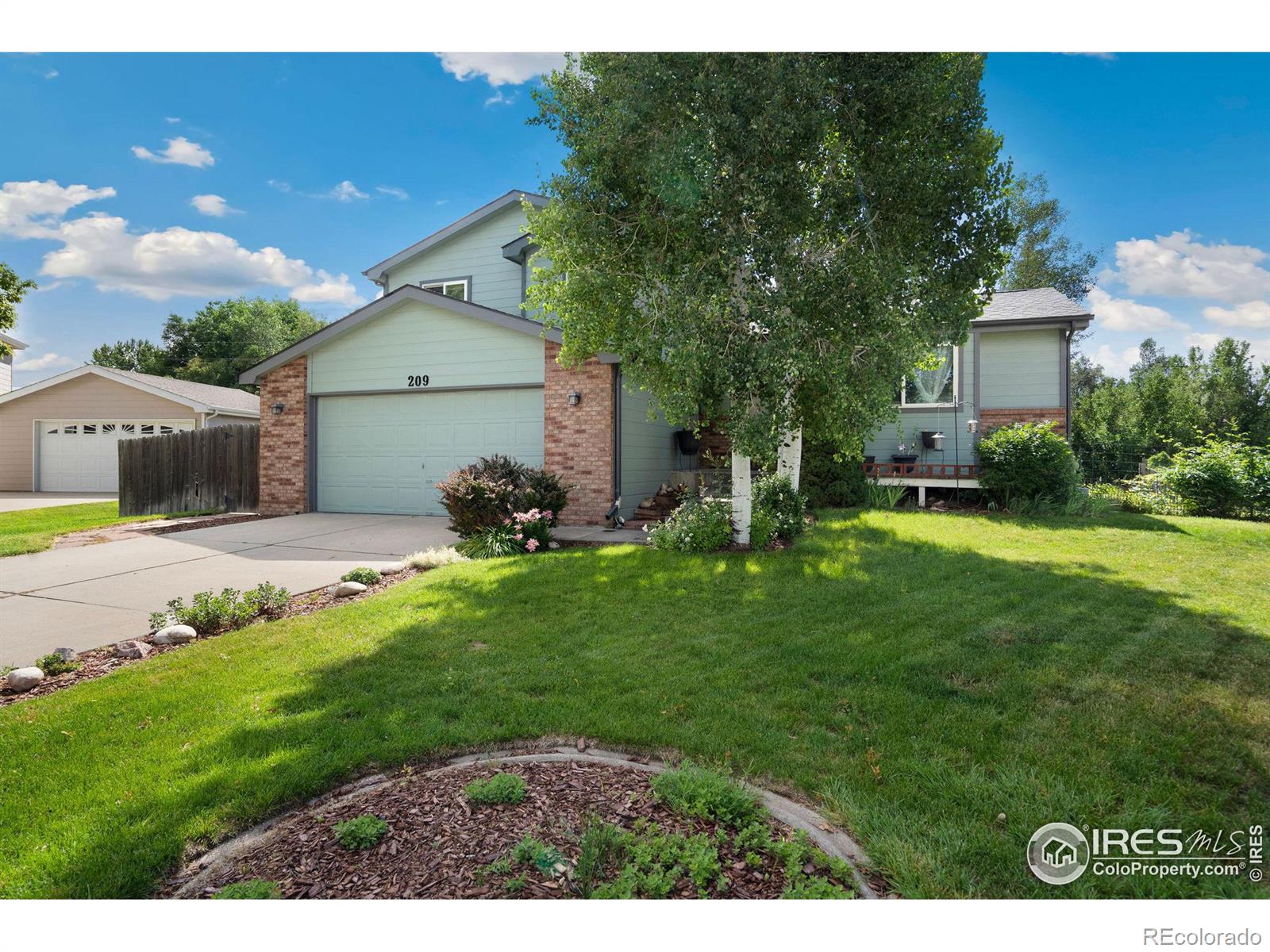 Report Image for 209  Valley Court,Windsor, Colorado