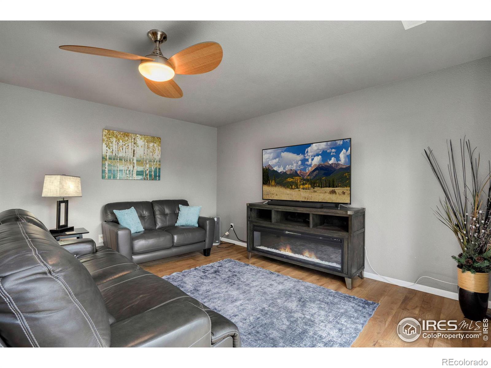 MLS Image #19 for 209  valley court,windsor, Colorado