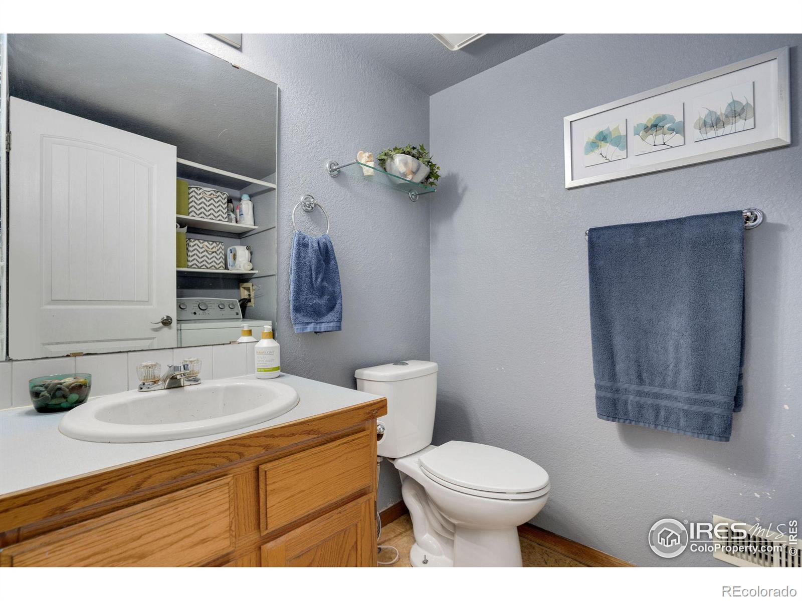 MLS Image #21 for 209  valley court,windsor, Colorado