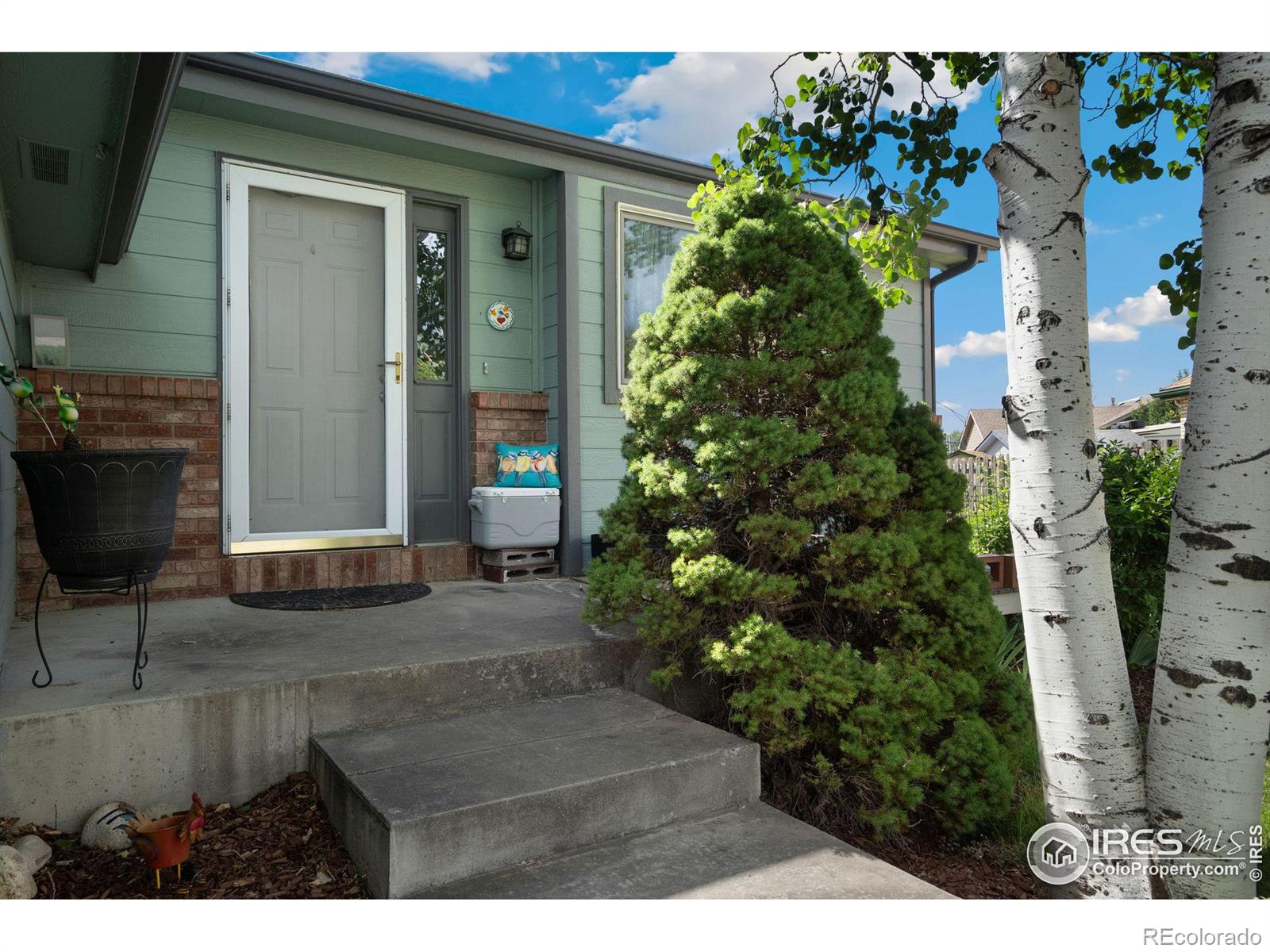 MLS Image #3 for 209  valley court,windsor, Colorado