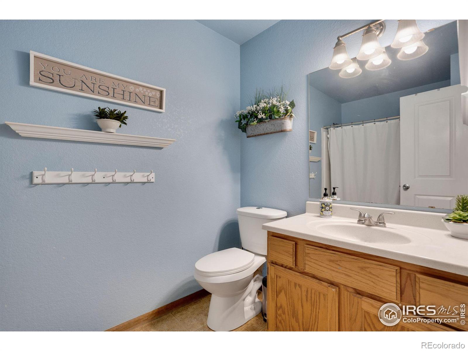 MLS Image #32 for 209  valley court,windsor, Colorado