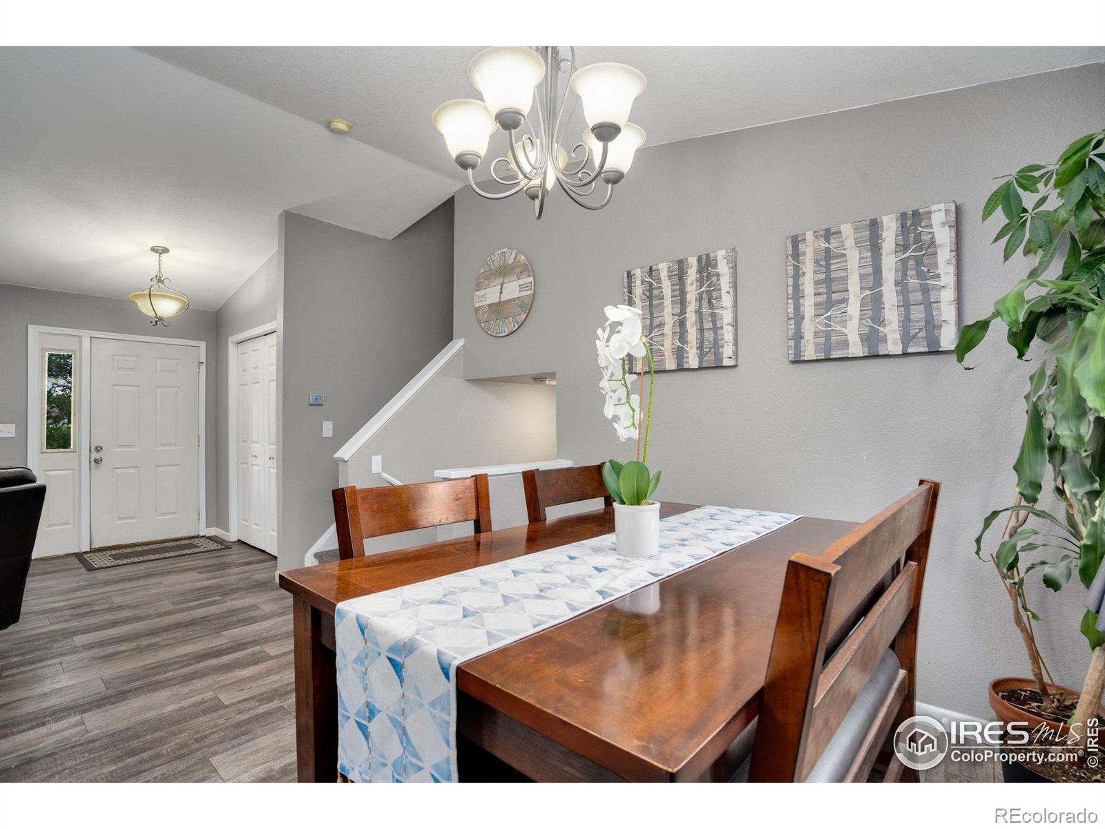 MLS Image #9 for 209  valley court,windsor, Colorado