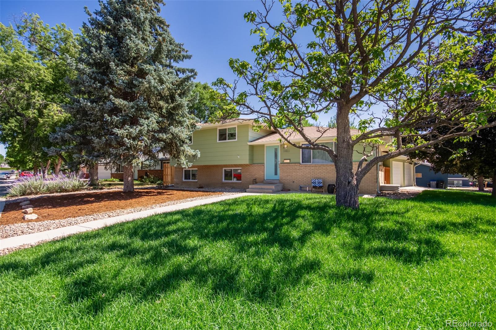 MLS Image #3 for 1402  sherri mar street,longmont, Colorado