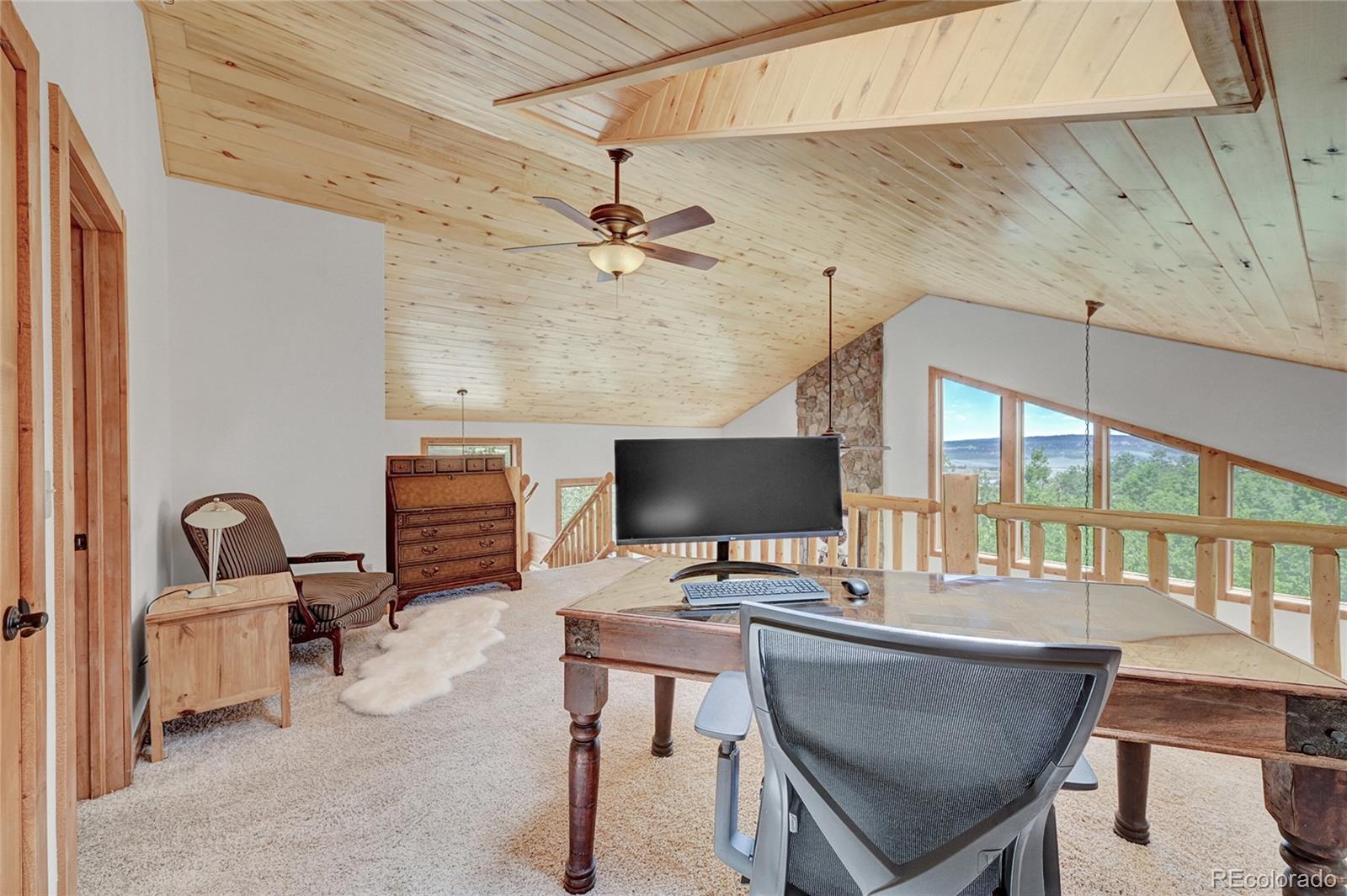 MLS Image #11 for 587  little baldy drive,fairplay, Colorado