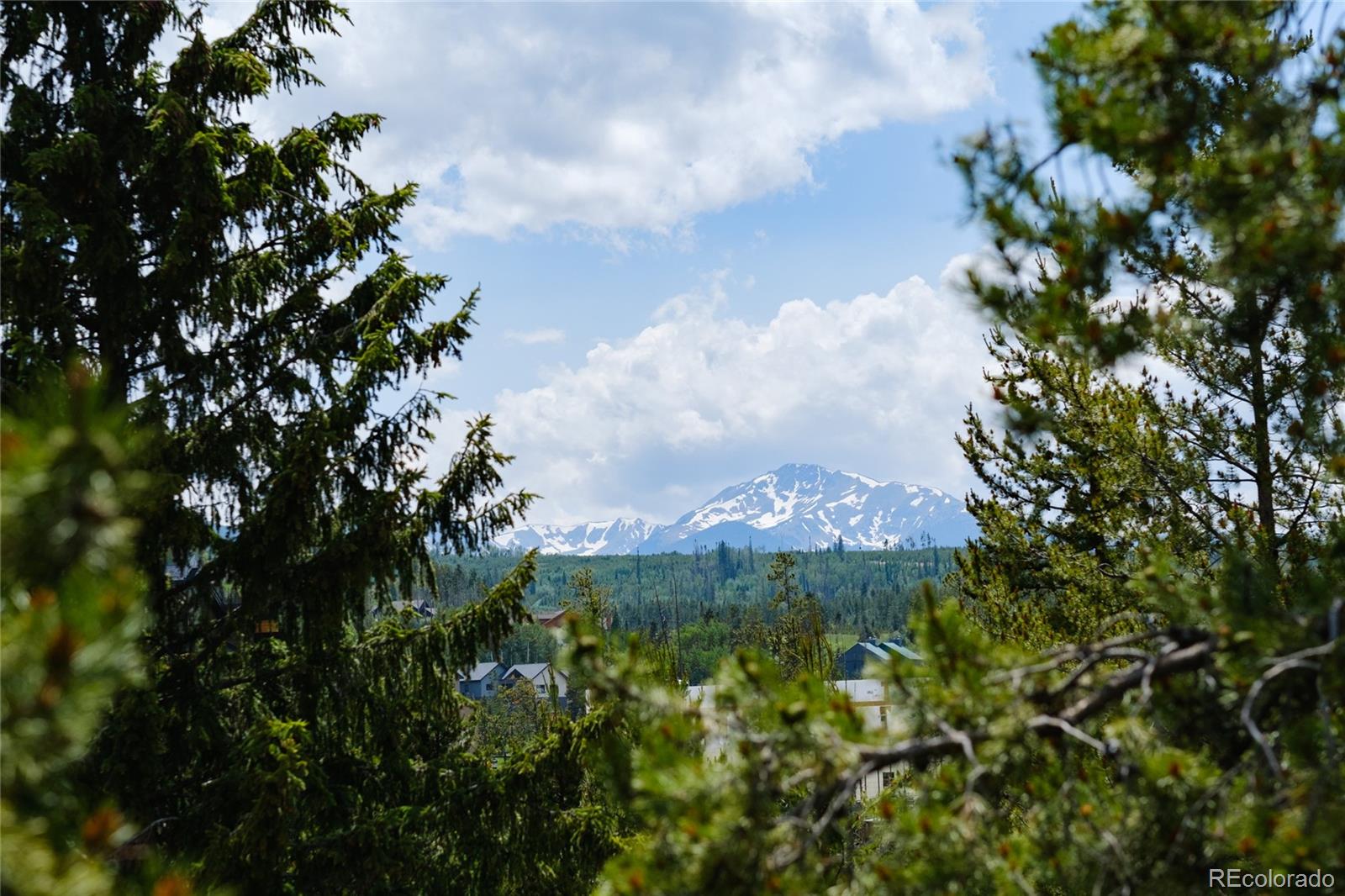 MLS Image #20 for 477  hi country drive,winter park, Colorado