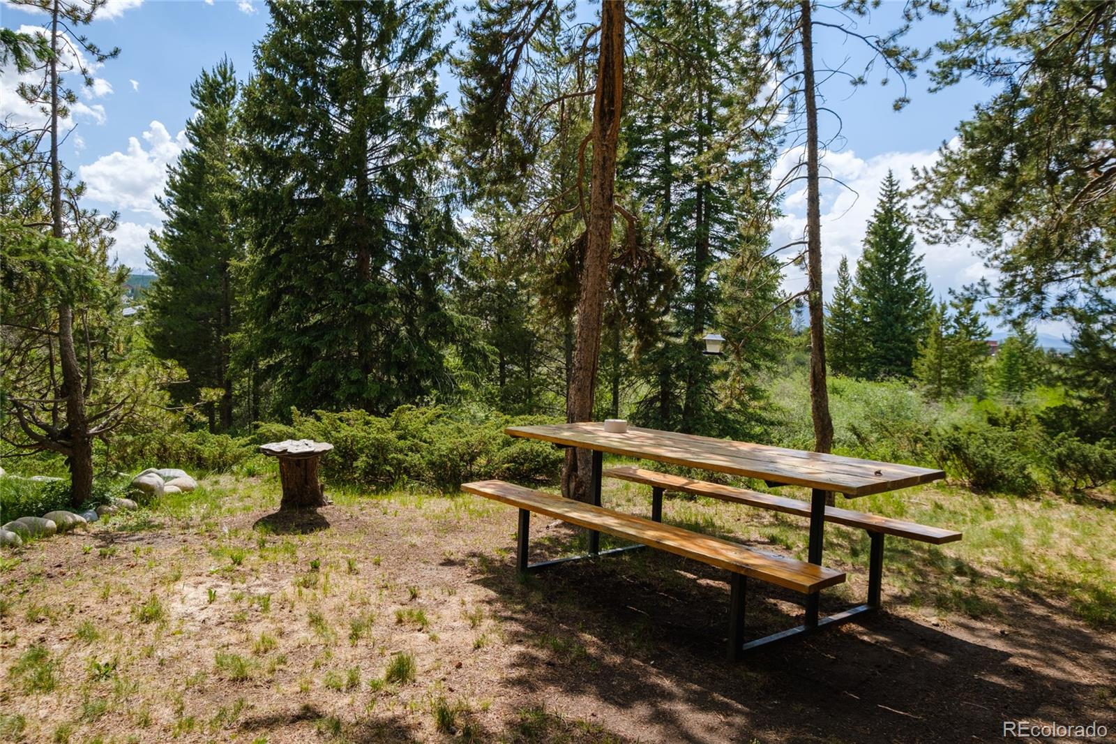 MLS Image #26 for 477  hi country drive,winter park, Colorado