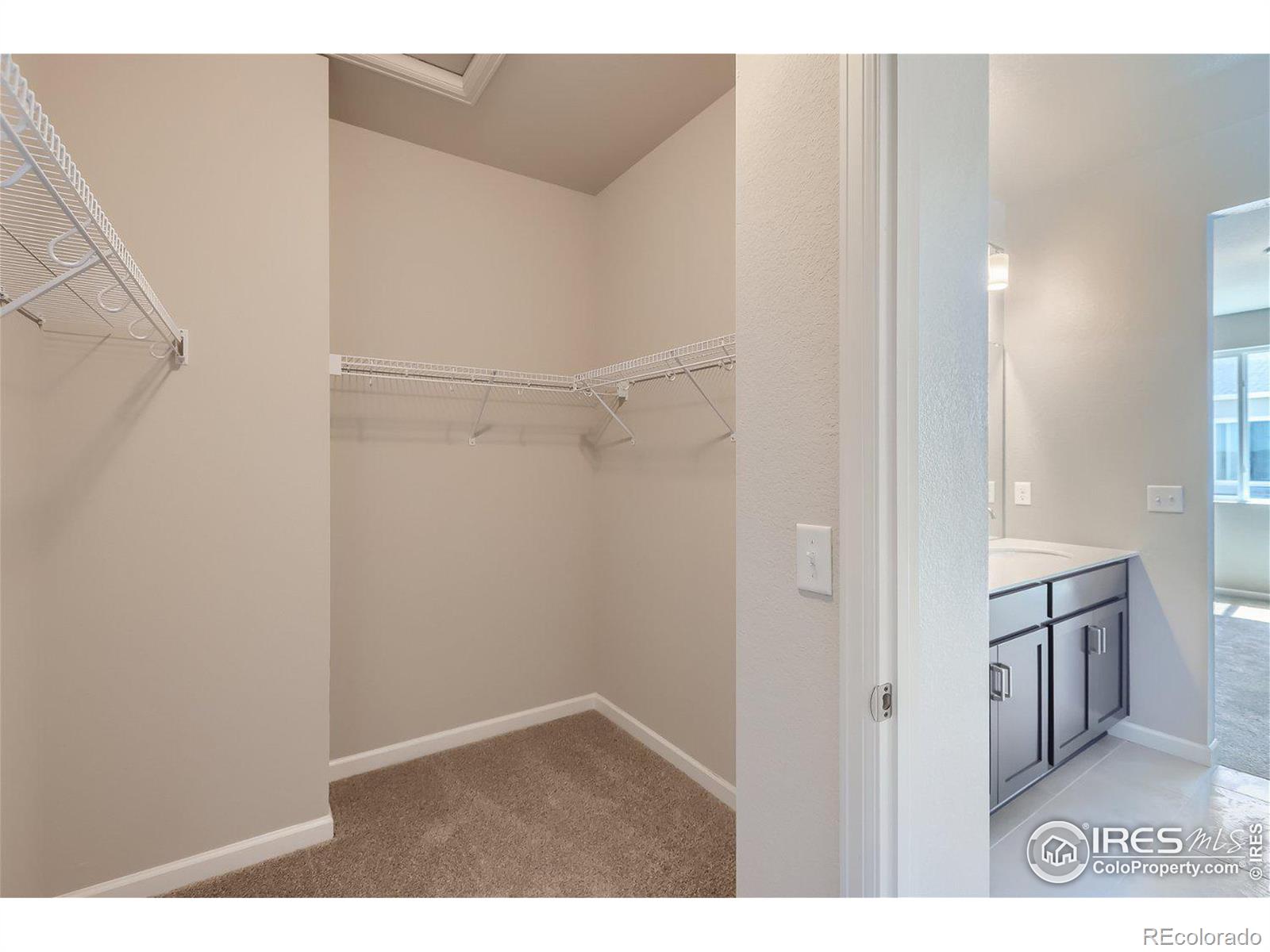 MLS Image #20 for 2901  hidden brook place,longmont, Colorado