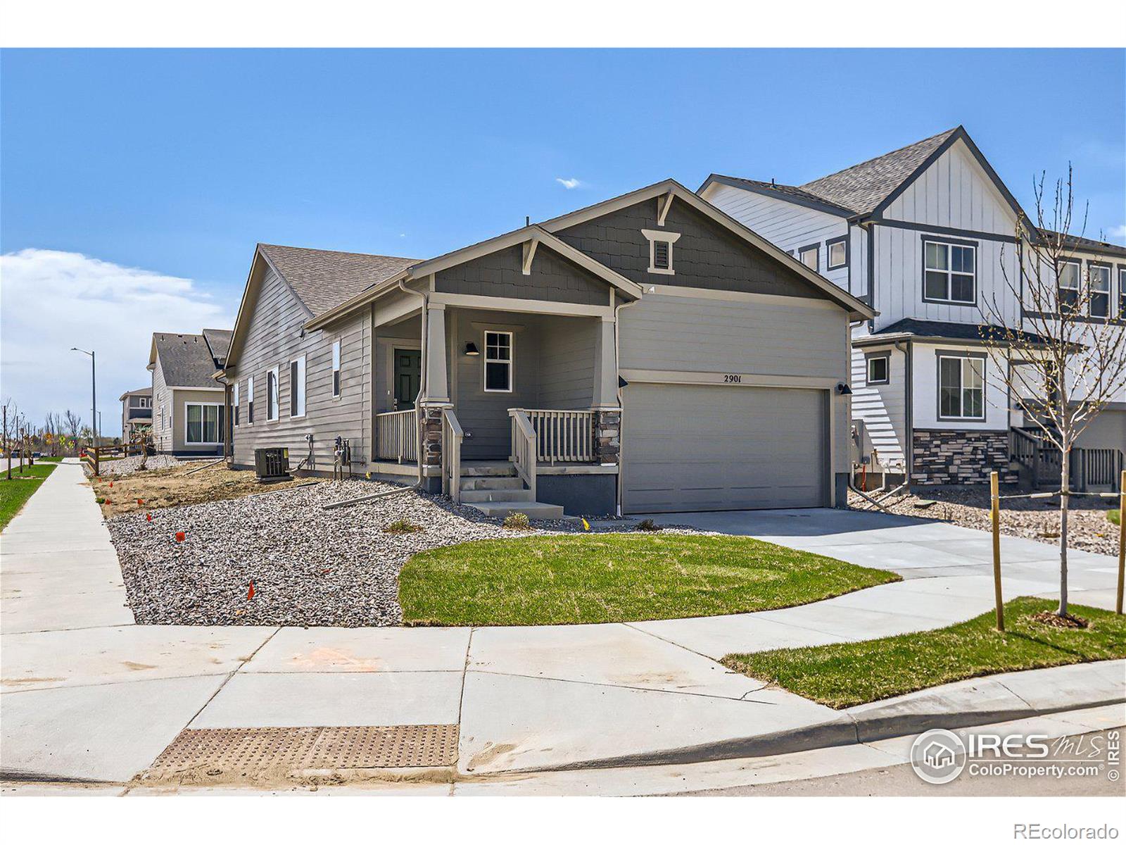 MLS Image #3 for 2901  hidden brook place,longmont, Colorado