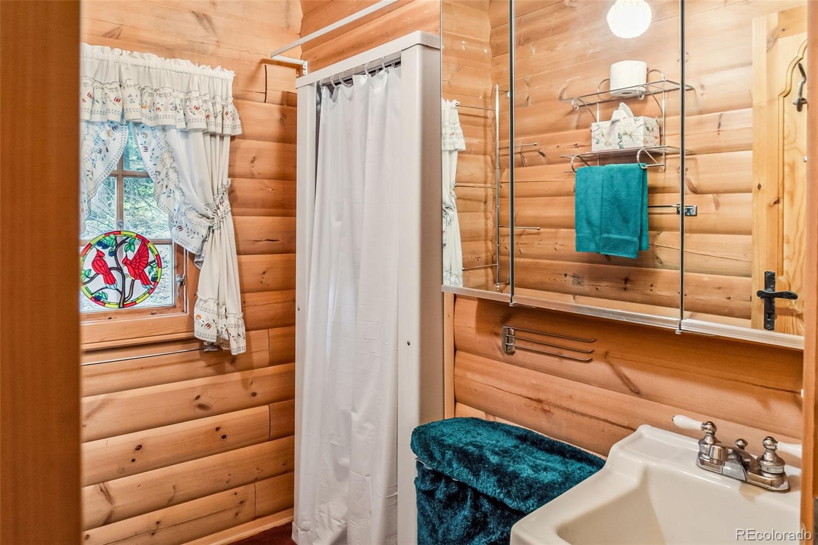 MLS Image #18 for 312  county road 533 ,breckenridge, Colorado