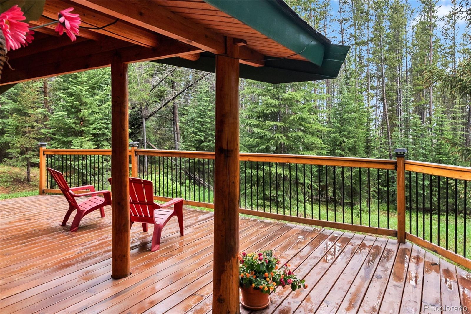 MLS Image #27 for 312  county road 533 ,breckenridge, Colorado