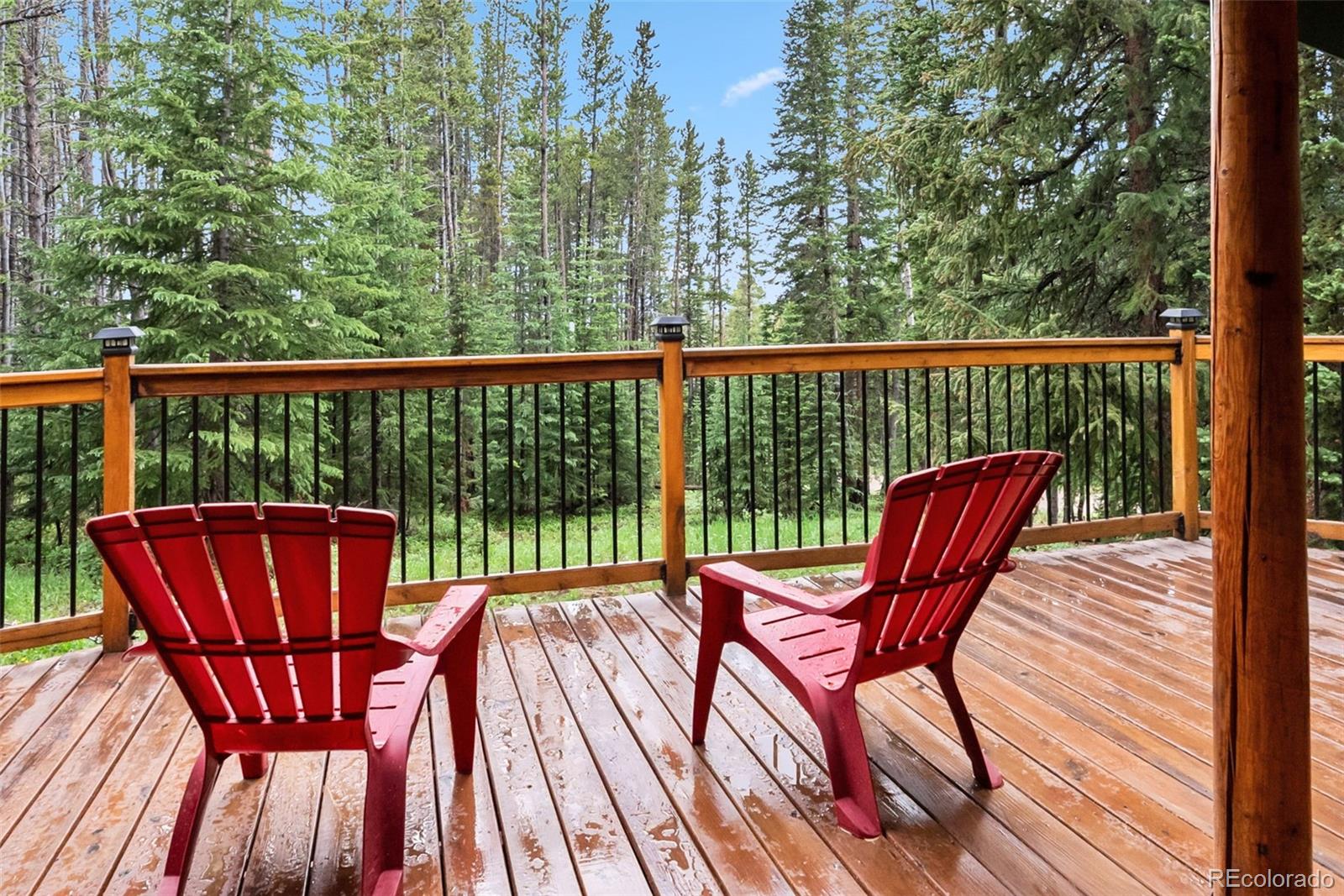 MLS Image #28 for 312  county road 533 ,breckenridge, Colorado