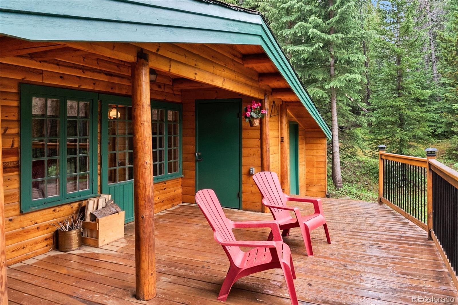 MLS Image #29 for 312  county road 533 ,breckenridge, Colorado