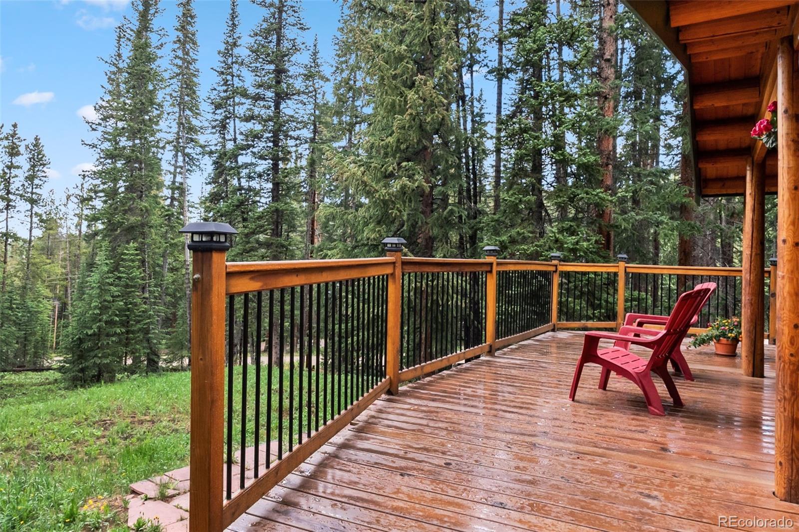 MLS Image #30 for 312  county road 533 ,breckenridge, Colorado