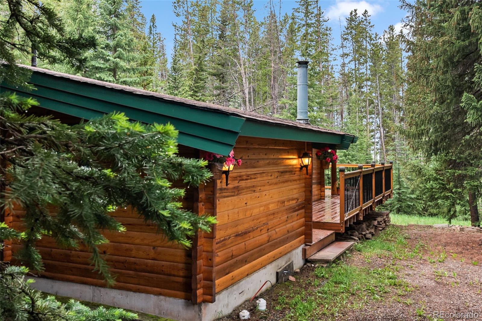 MLS Image #34 for 312  county road 533 ,breckenridge, Colorado