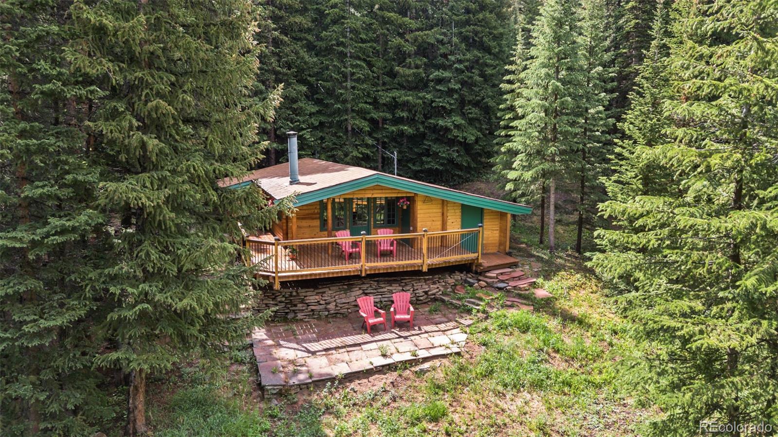 MLS Image #40 for 312  county road 533 ,breckenridge, Colorado