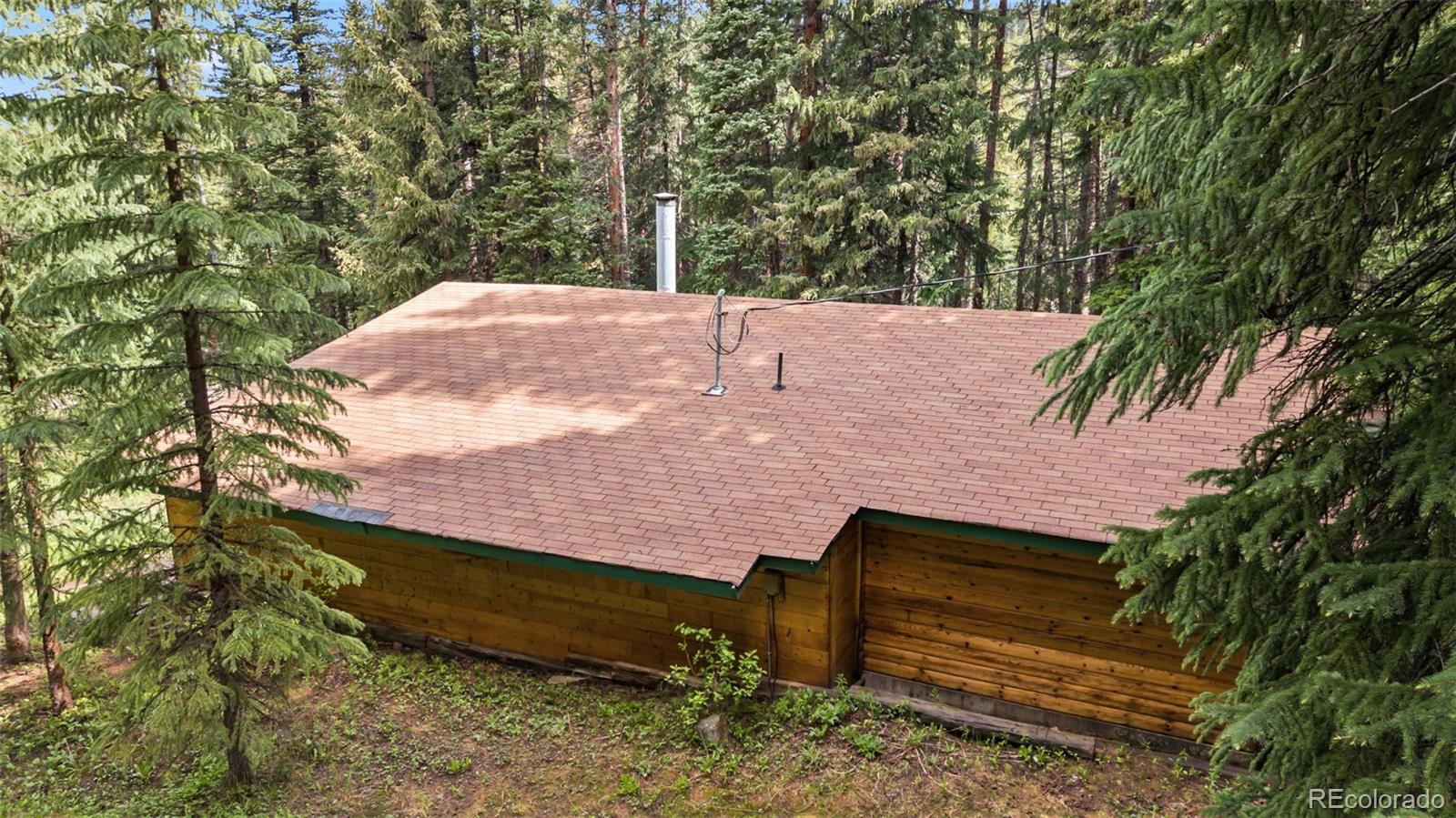 MLS Image #41 for 312  county road 533 ,breckenridge, Colorado