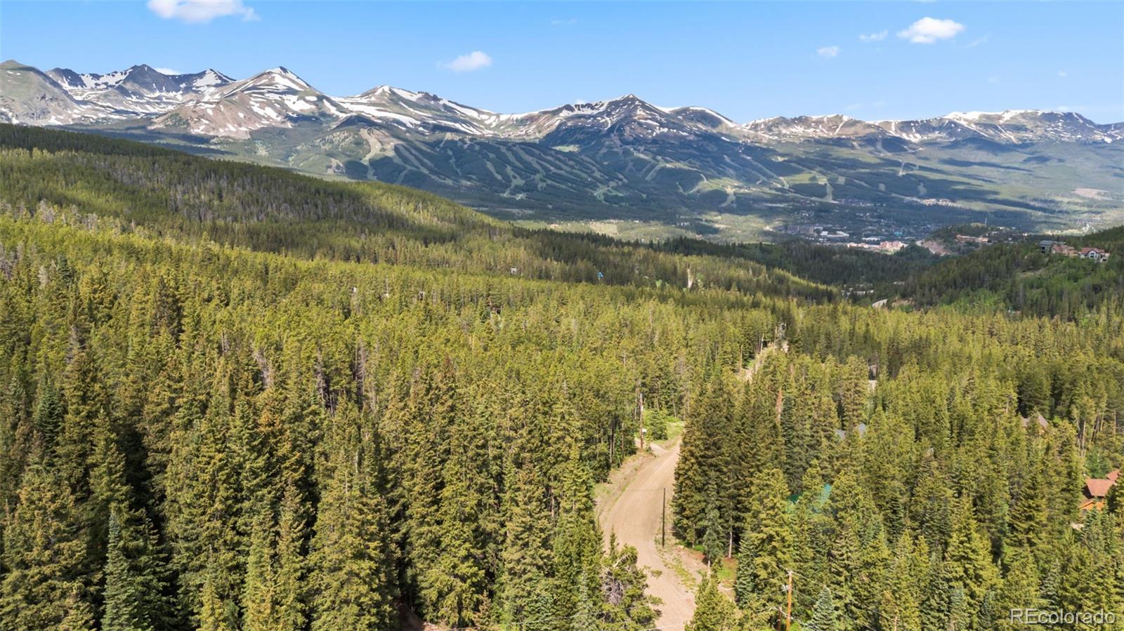 MLS Image #43 for 312  county road 533 ,breckenridge, Colorado