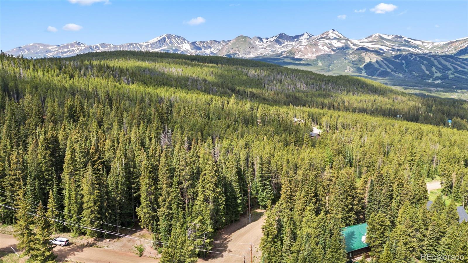 MLS Image #44 for 312  county road 533 ,breckenridge, Colorado