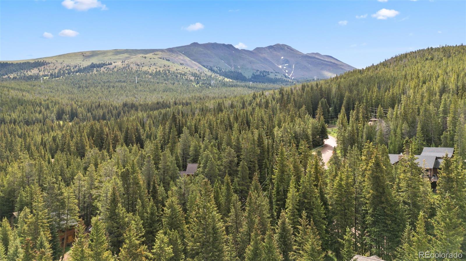 MLS Image #45 for 312  county road 533 ,breckenridge, Colorado