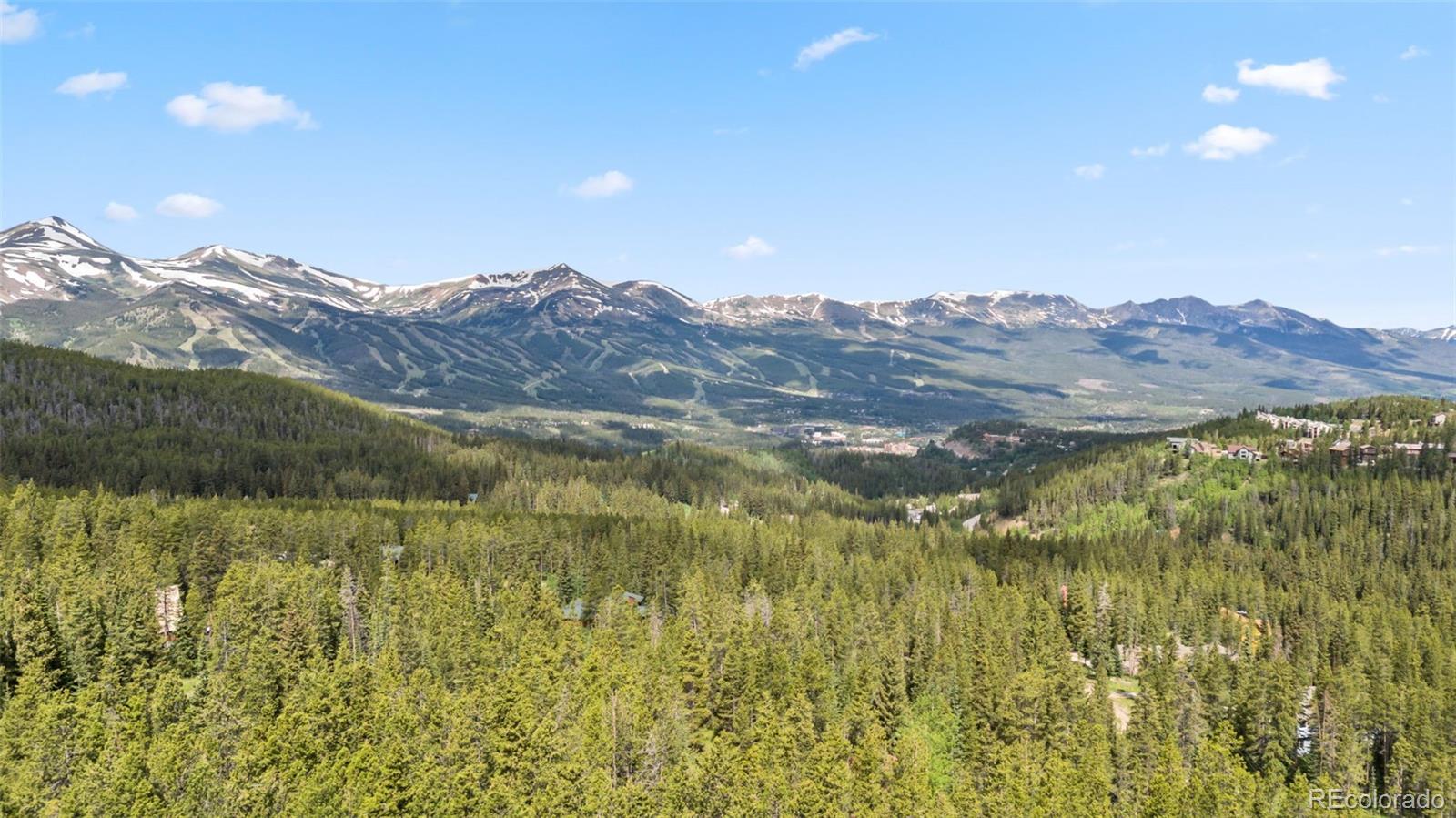 MLS Image #46 for 312  county road 533 ,breckenridge, Colorado