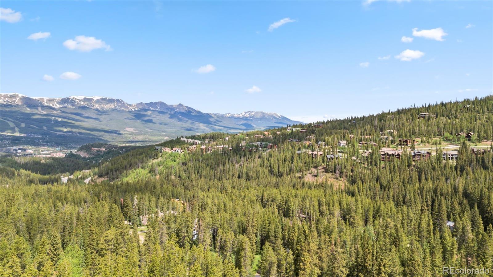 MLS Image #47 for 312  county road 533 ,breckenridge, Colorado