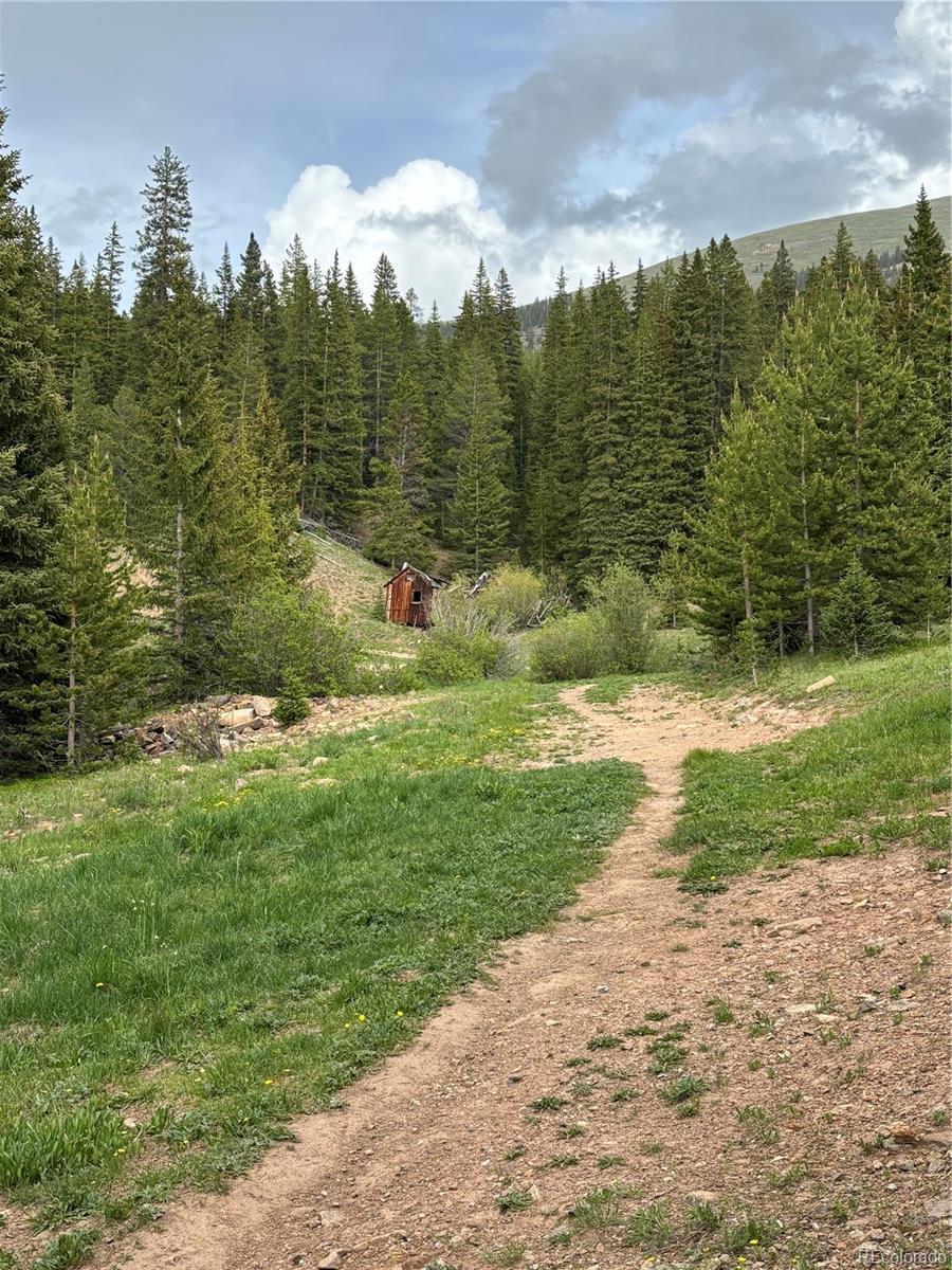 MLS Image #49 for 312  county road 533 ,breckenridge, Colorado