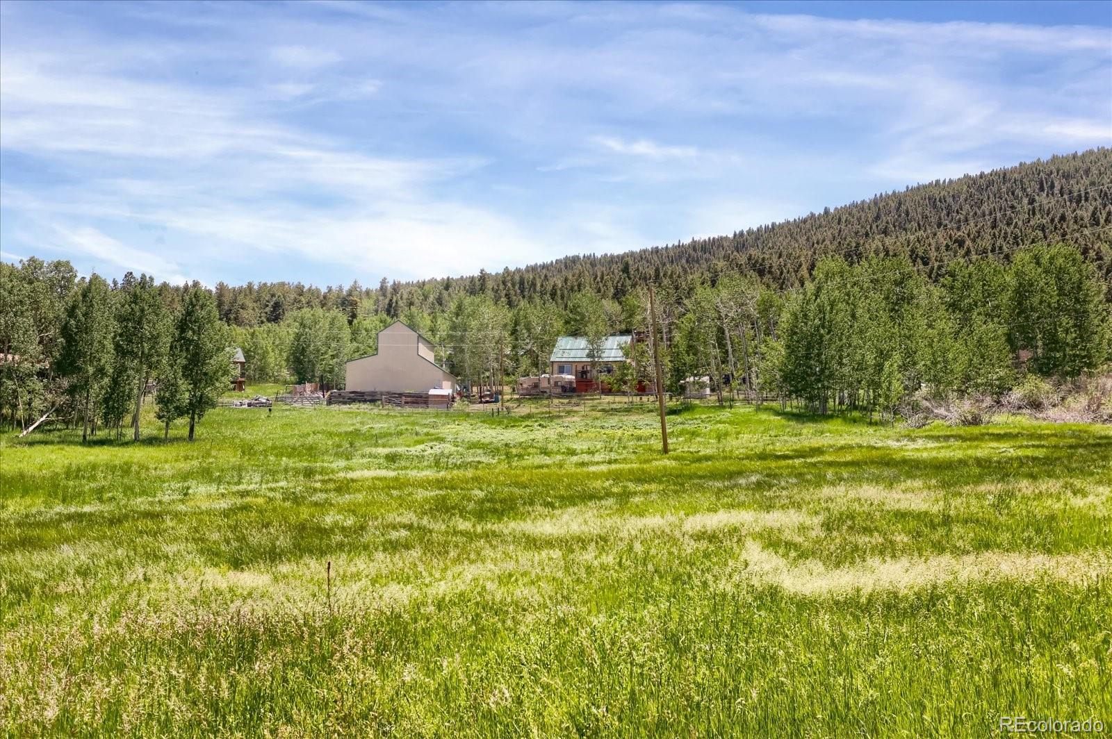 MLS Image #0 for 743 s pine drive,bailey, Colorado