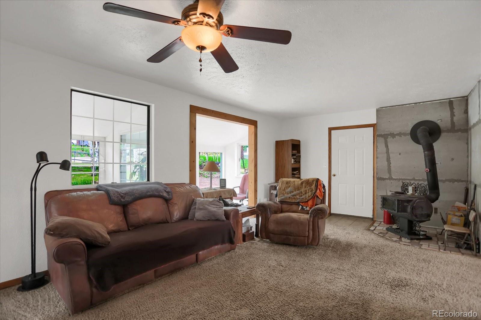 MLS Image #18 for 743 s pine drive,bailey, Colorado