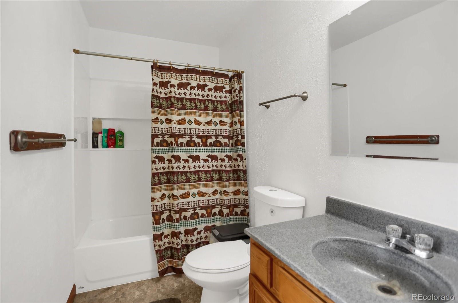 MLS Image #23 for 743 s pine drive,bailey, Colorado