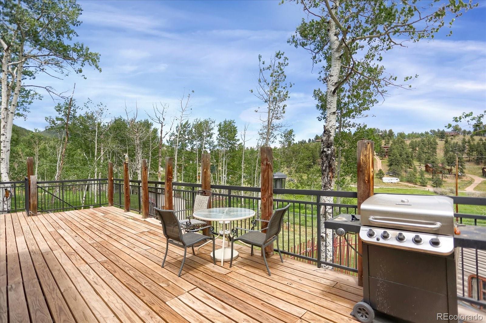 MLS Image #32 for 743 s pine drive,bailey, Colorado