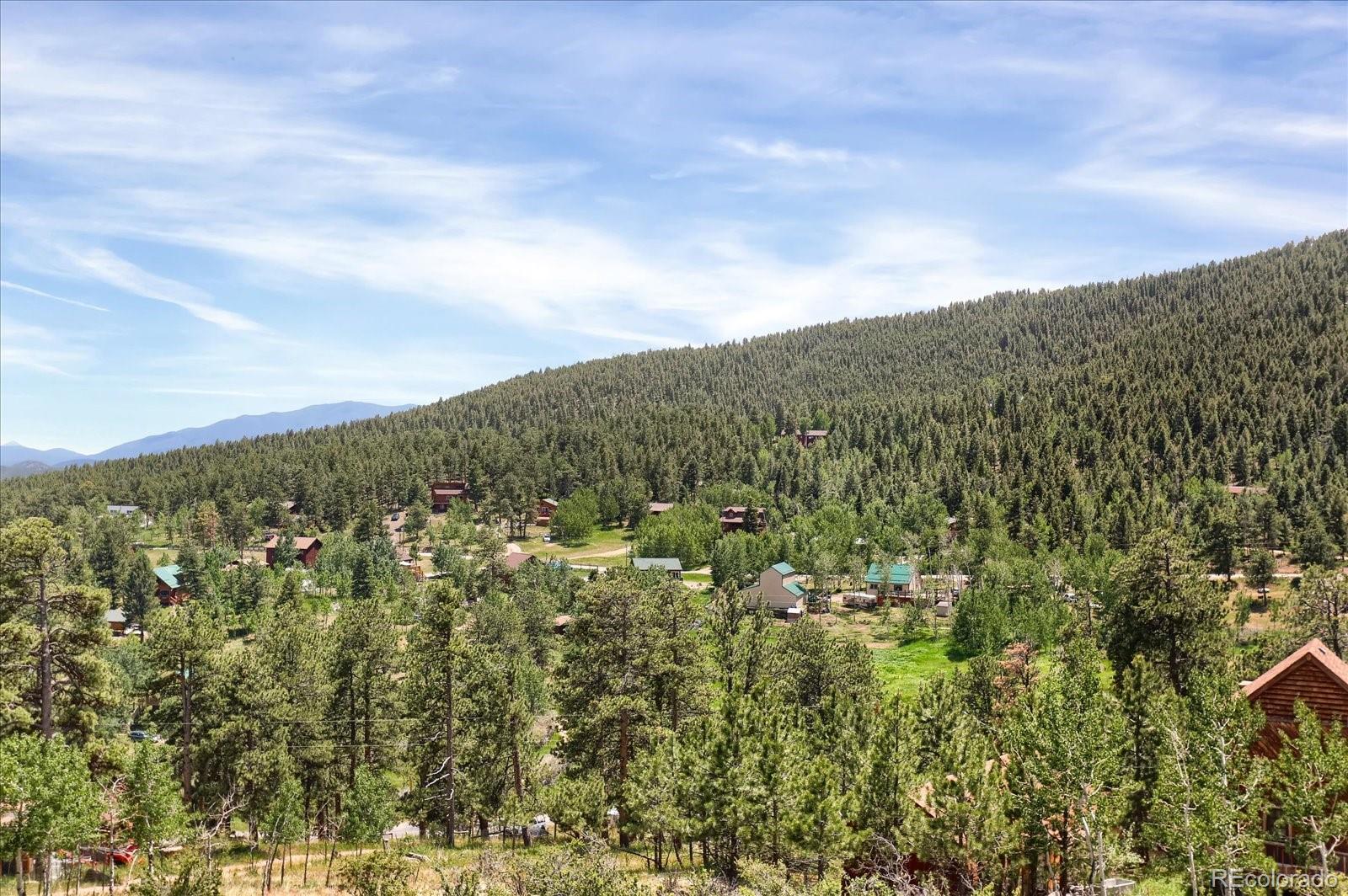 MLS Image #38 for 743 s pine drive,bailey, Colorado