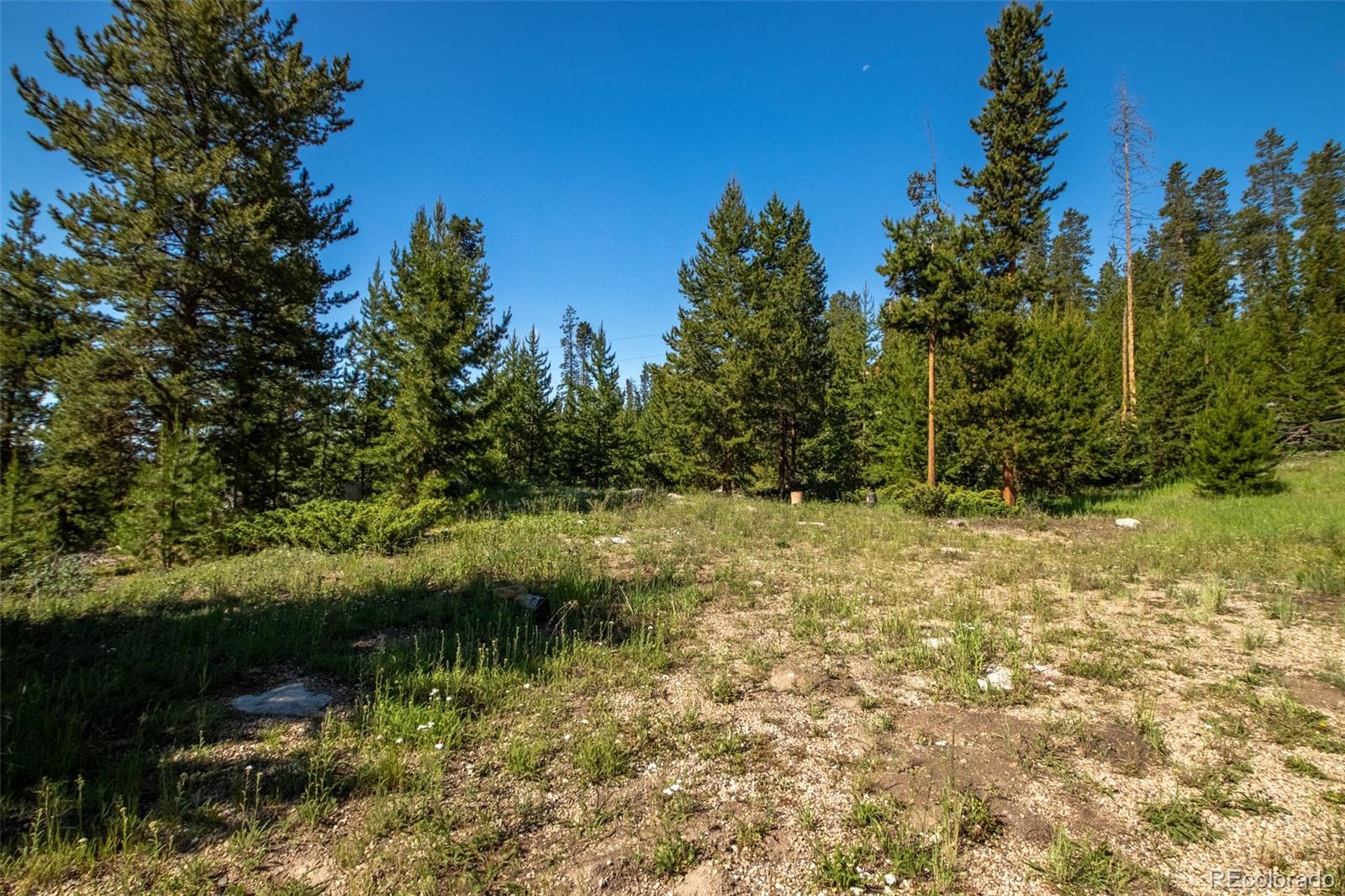 MLS Image #21 for 336  county road 463 ,grand lake, Colorado