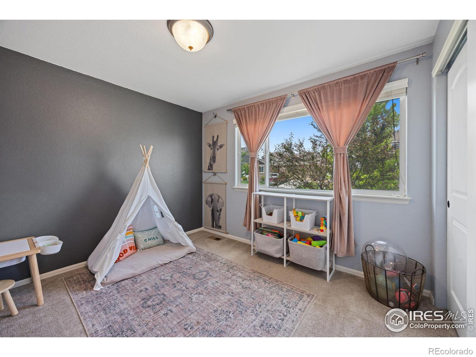 MLS Image #19 for 717  elk mountain drive,severance, Colorado