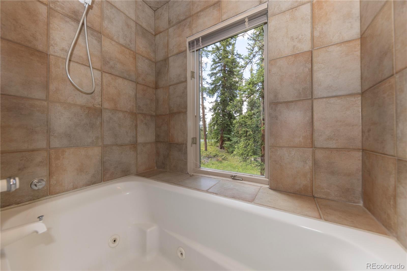 MLS Image #19 for 760  penstemon road,keystone, Colorado