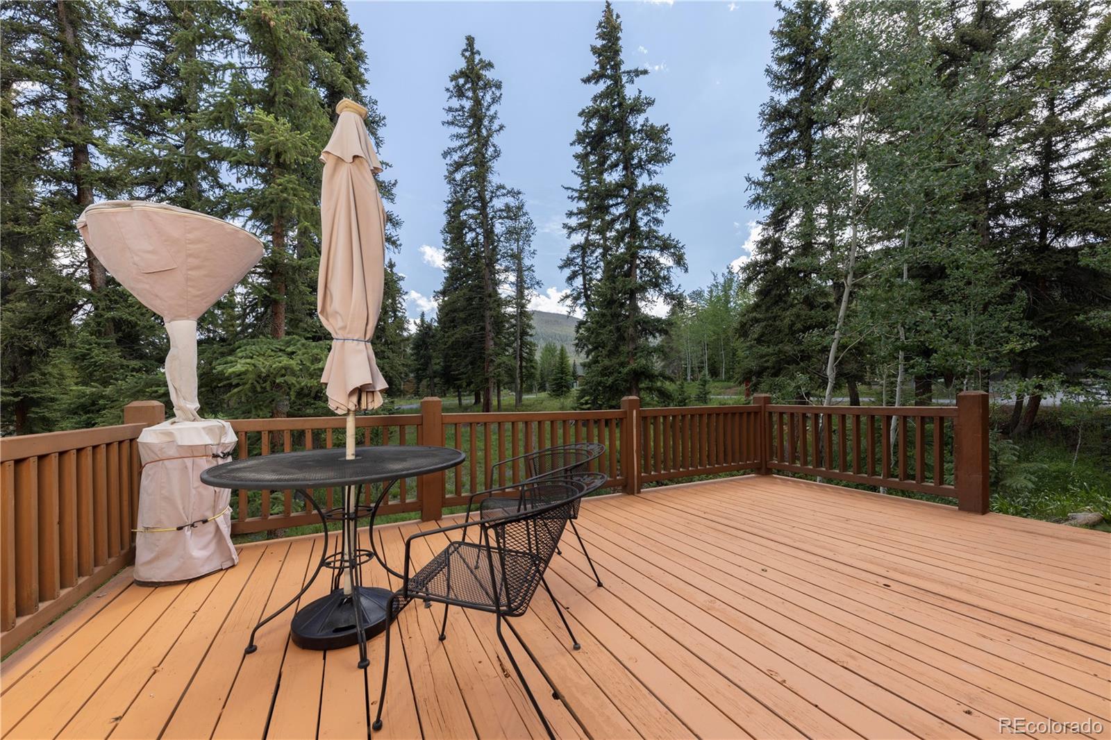 MLS Image #23 for 760  penstemon road,keystone, Colorado