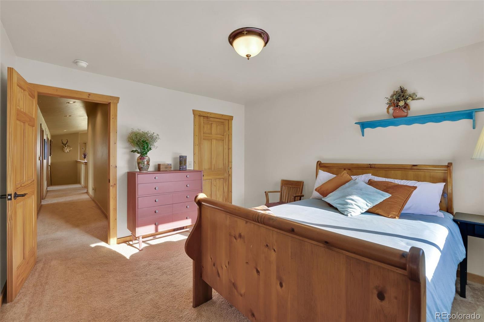 MLS Image #10 for 899  county road 18 ,fairplay, Colorado