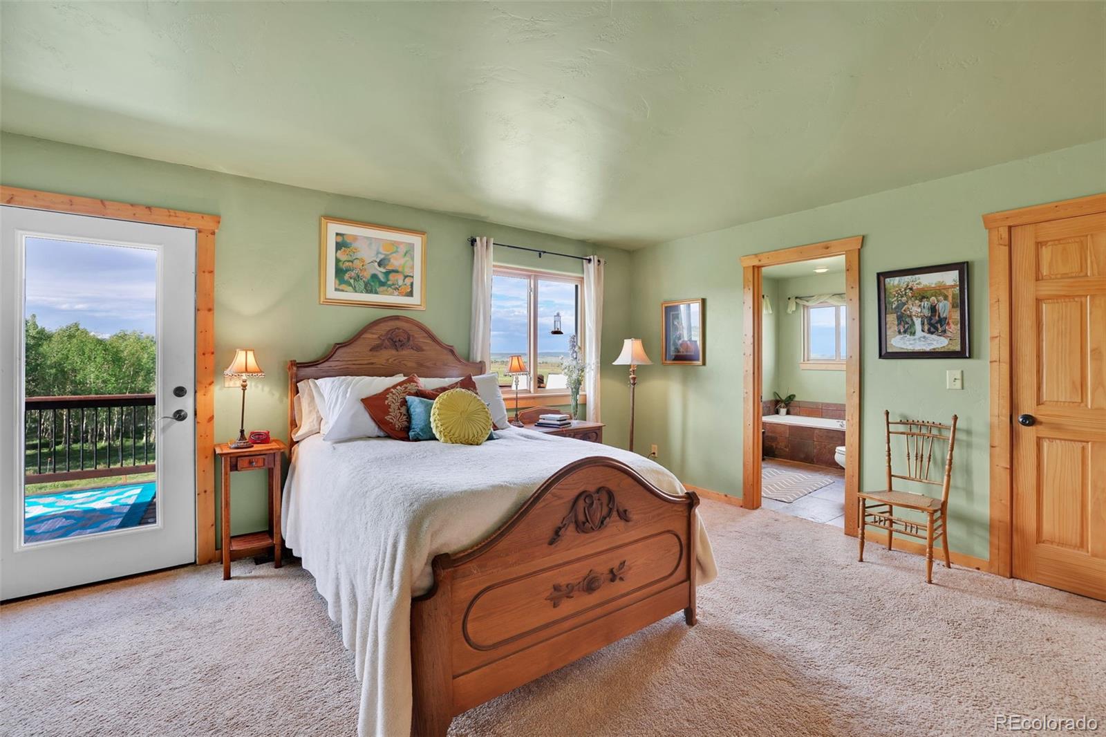 MLS Image #14 for 899  county road 18 ,fairplay, Colorado