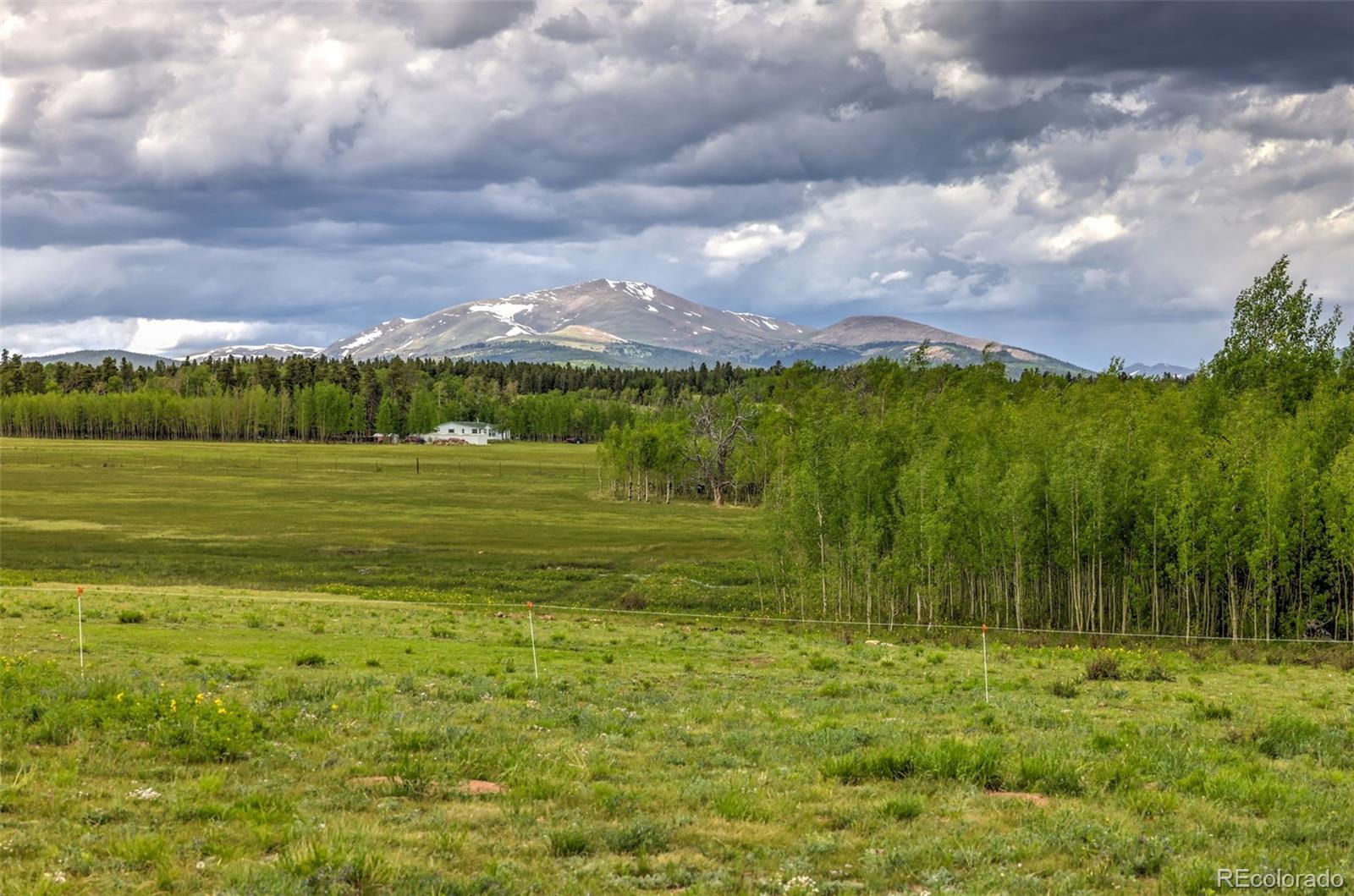 MLS Image #20 for 899  county road 18 ,fairplay, Colorado