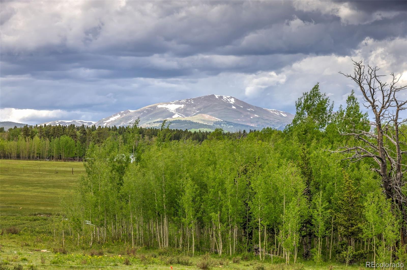 MLS Image #21 for 899  county road 18 ,fairplay, Colorado