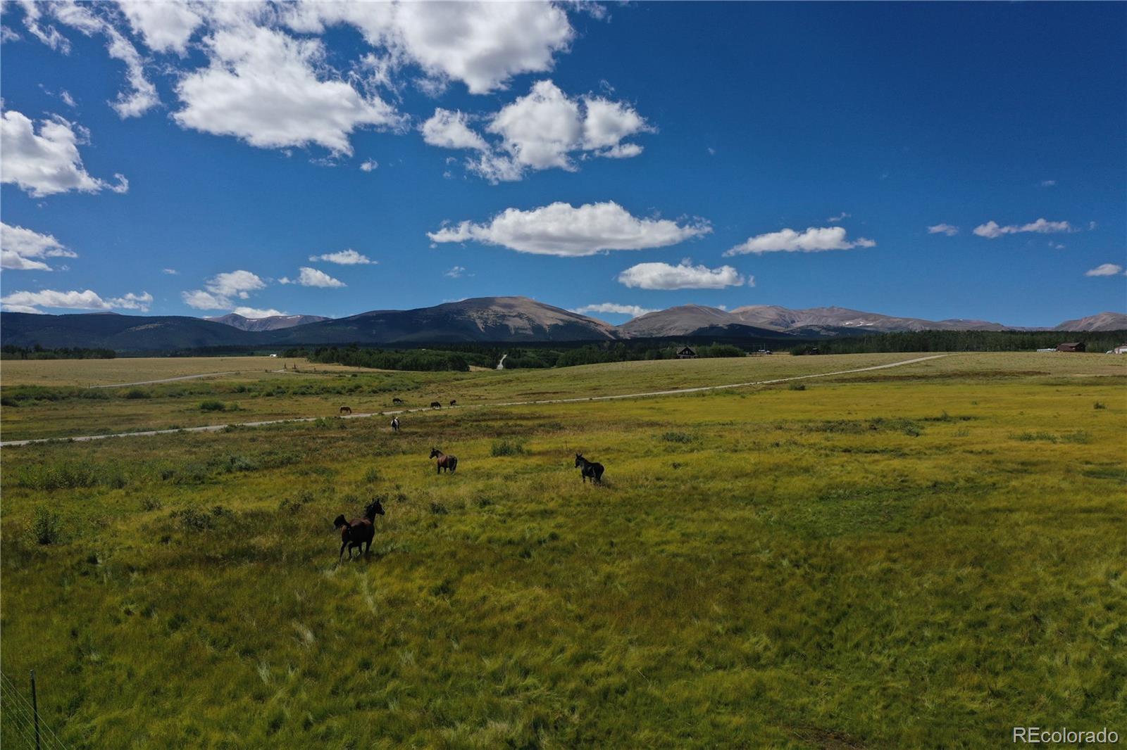 MLS Image #24 for 899  county road 18 ,fairplay, Colorado