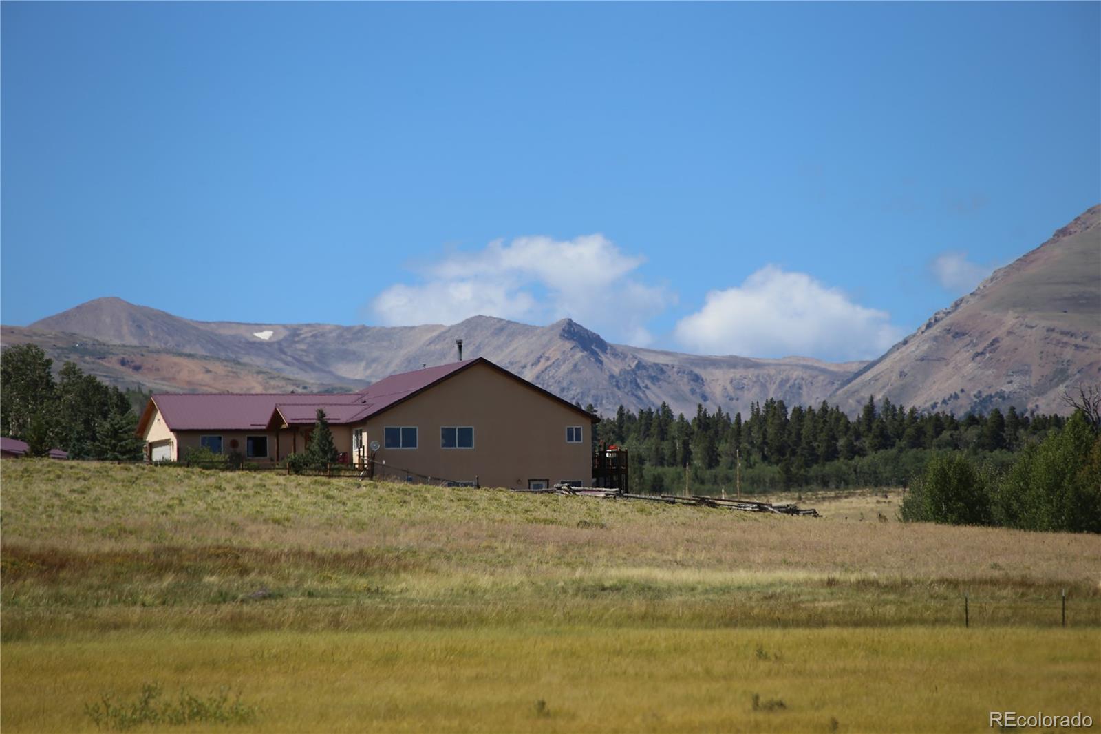 MLS Image #3 for 899  county road 18 ,fairplay, Colorado