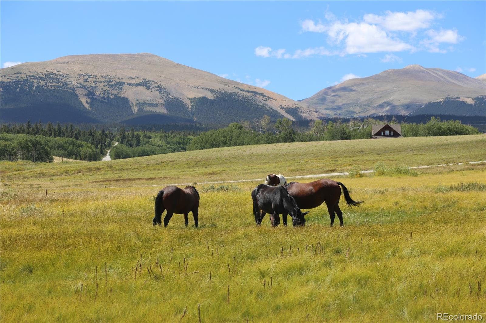 MLS Image #32 for 899  county road 18 ,fairplay, Colorado
