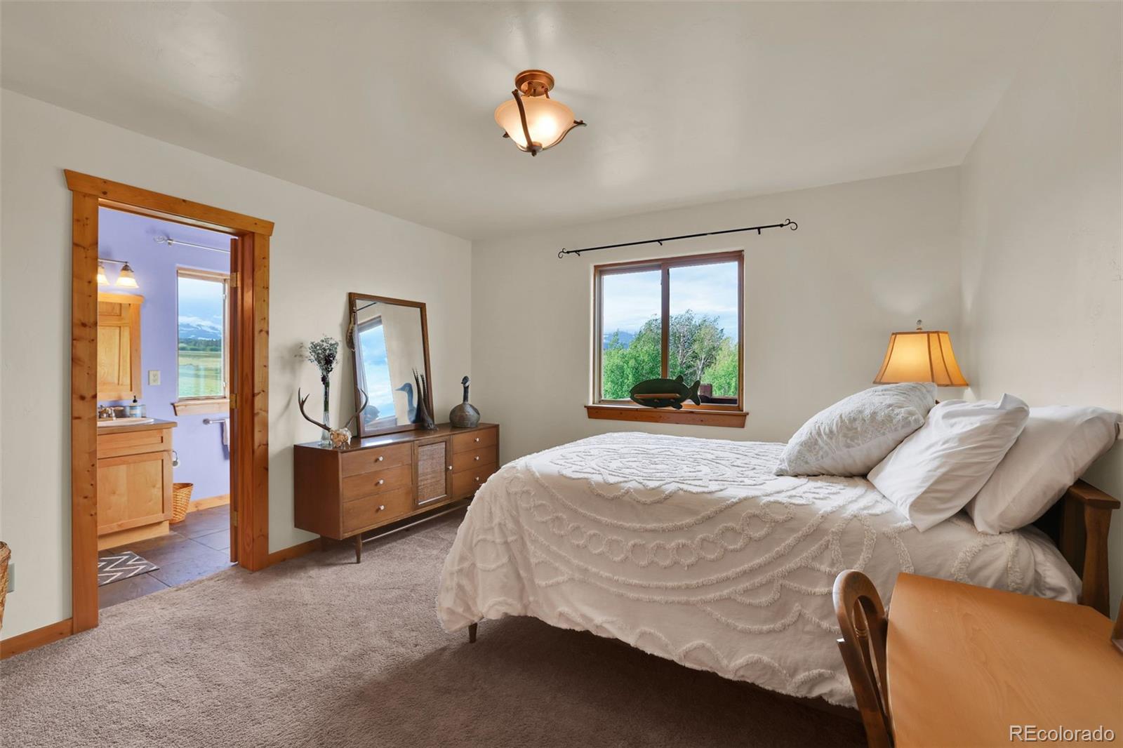 MLS Image #7 for 899  county road 18 ,fairplay, Colorado